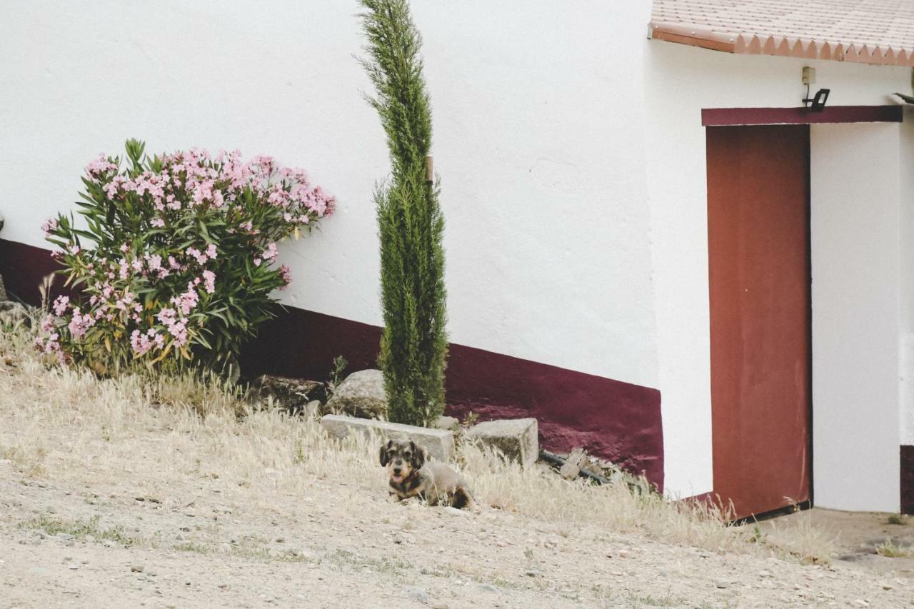Casas Da Faia - Nature Guest House Арроншиш Экстерьер фото